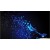 light4me-bubble-blue-wydajna-wytwornica-baniek-14480_7-8bce5619.jpg