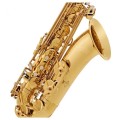 vibe-ts-100-saksofon-tenorowy-z-futeralem-zestaw-21220_4-05ec238f.jpg