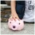 nn-bubble-pig-wytwornica-baniek-dla-dzieci-swinka-21877_3-fc3f72d9.jpg