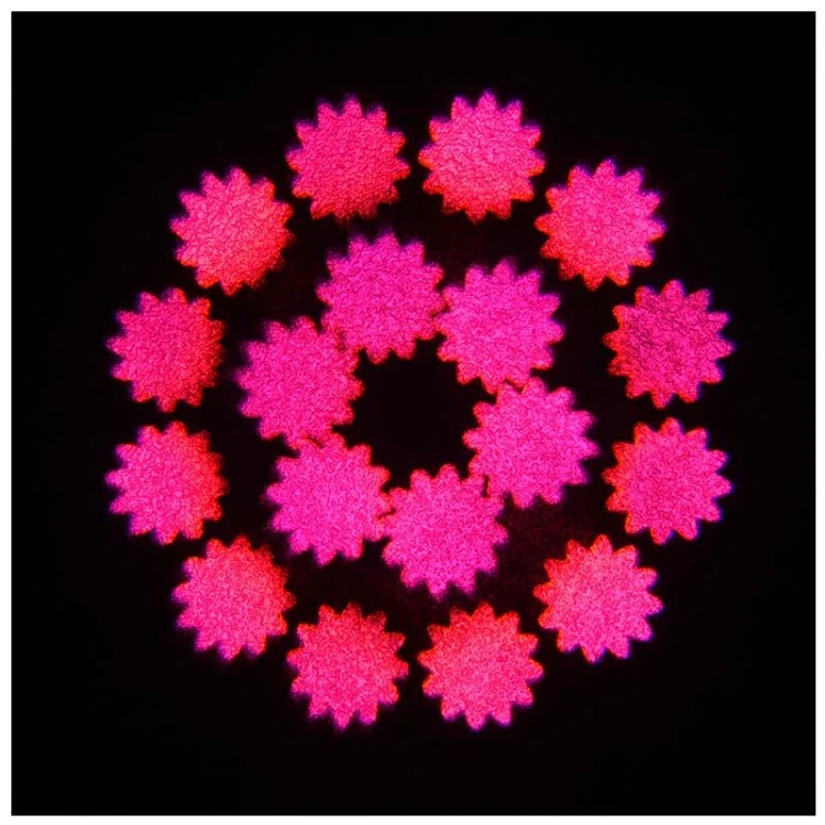 10evolights-neo-beam-100w-glowica-ruchoma-led-10.jpg