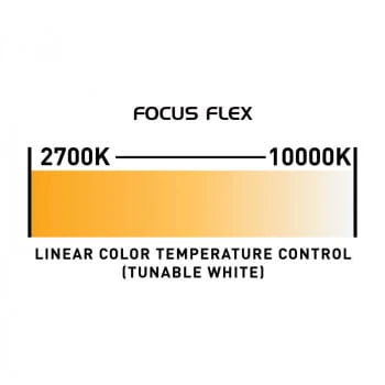 focus-flex-web-15.jpg