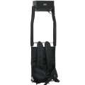 walker-d216-back.jpg