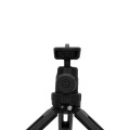 GVSTRIPOD01B_8.jpg