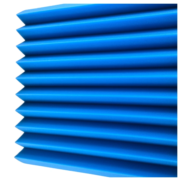 dna_am4_bl_3_1.png