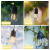 dh_light_garland_401_2_1.png