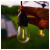dh_light_garland_401_5_1.png