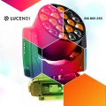 pol_pl_Glowa-ruchoma-BIGBEE285-19x15W-LED-Be-Eyes-Lucendi-4246_21.jpg