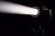 16.webp