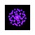 focus-cmy-compact-web-14.jpg