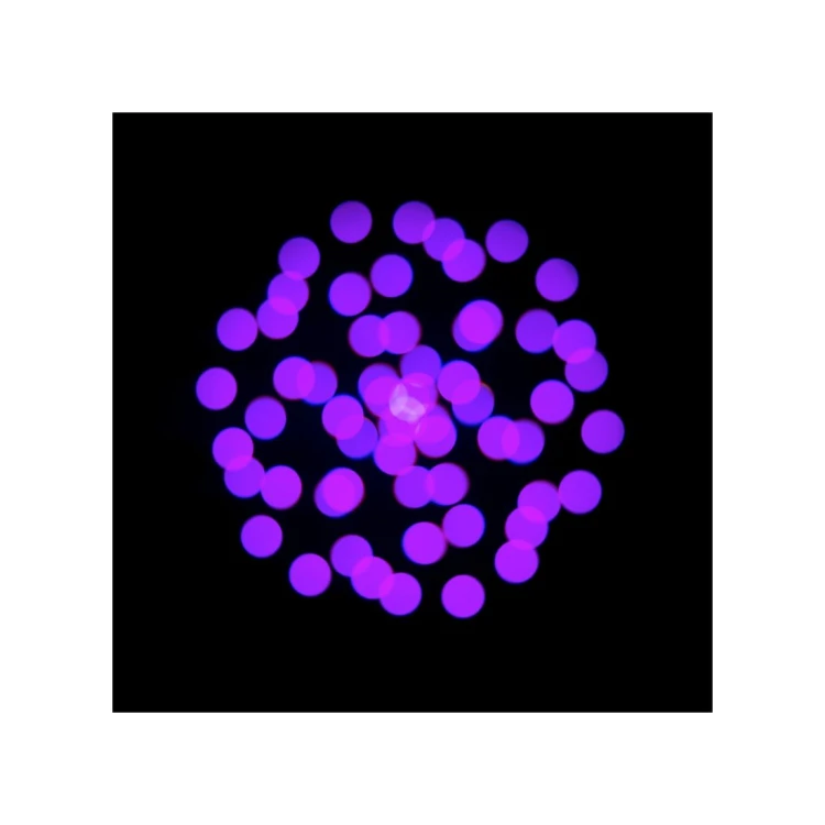 focus-cmy-compact-web-14.jpg
