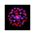 focus-cmy-compact-web-16.jpg