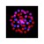 focus-cmy-compact-web-16.jpg