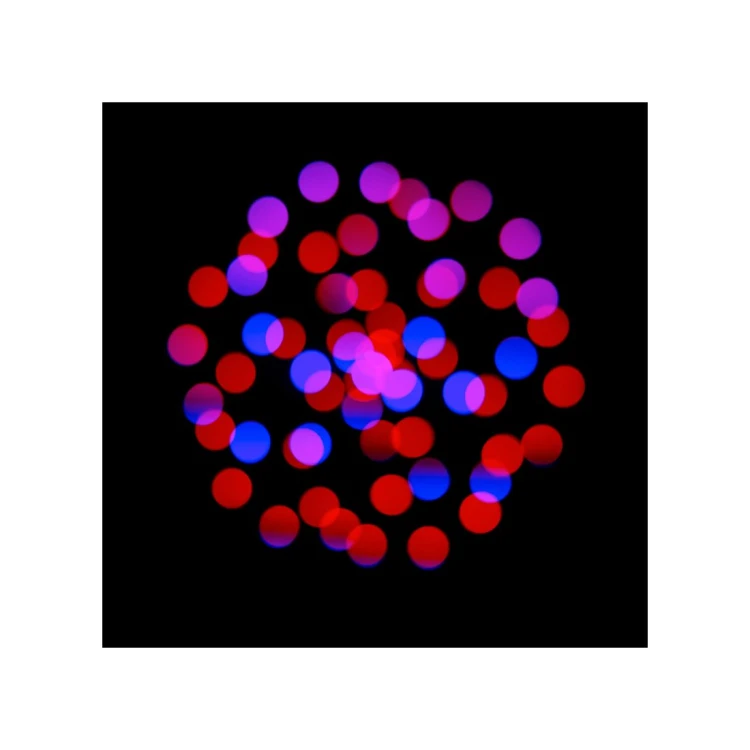 focus-cmy-compact-web-16.jpg