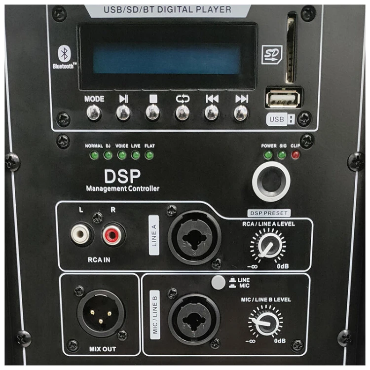 dna-spx12-dsp-05.jpg