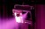 entour-faze-03.jpg